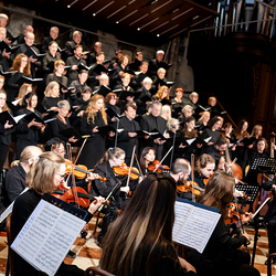 Stephansdom: Österreich nahm Abschied von Papst Franziskus / Erzdiözese Wien/ Schönlaub, Stephan Schönlaub Stephansdom: Österreich nahm Abschied von Papst Franziskus