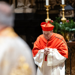 Göttlichen Liturgie / Erzdiözese Wien/ Schönlaub, Stephan Schönlaub