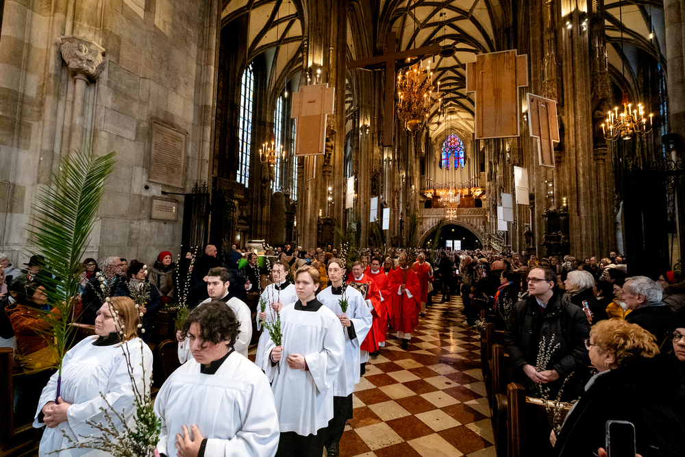 Palmsonntag 2026 im Stephansdom