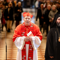 Erzdiözese Wien/ Schönlaub, Stephan Schönlaub