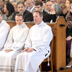 Erzdiözese Wien/Schönlaub, Stephan Schönlaub
