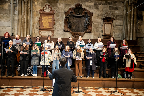 Erzdiözese Wien/Schönlaub