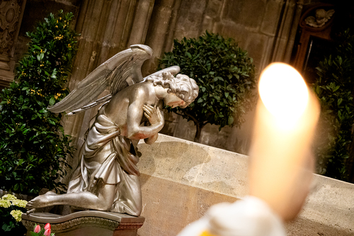 Gründonnerstag 2026 / Erzdiözese Wien/Schönlaub, Stephan Schönlaub