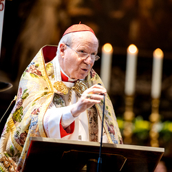 Te-Deum Papst Leo XIV / Erzdiözese Wien/Schönlaub, Stephan Schönlaub