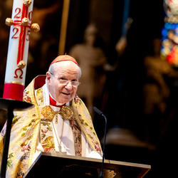 Te-Deum Papst Leo XIV / Erzdiözese Wien/Schönlaub, Stephan Schönlaub