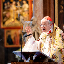 Te-Deum Papst Leo XIV / Erzdiözese Wien/Schönlaub, Stephan Schönlaub