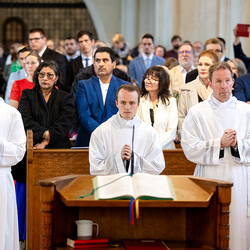 Erzdiözese Wien/Schönlaub, Stephan Schönlaub